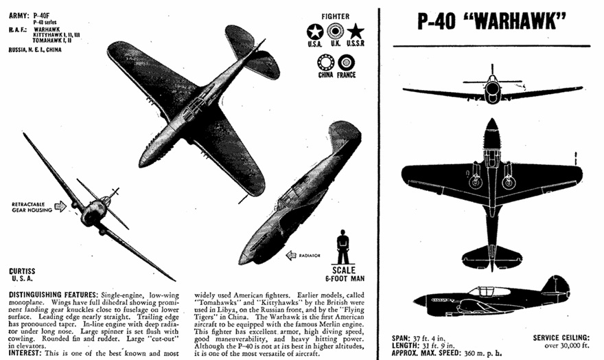 P-40_3-view_B